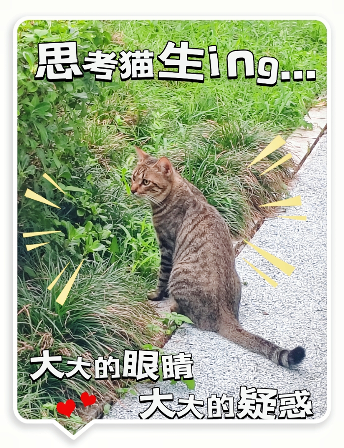 MEITU_20250716_095203421.jpg