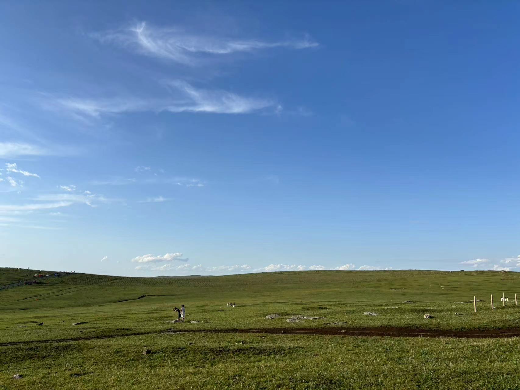 Image_1752716056972.jpg