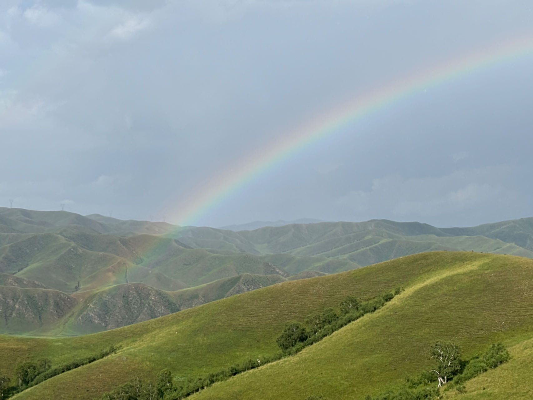 Image_1752716051090.jpg