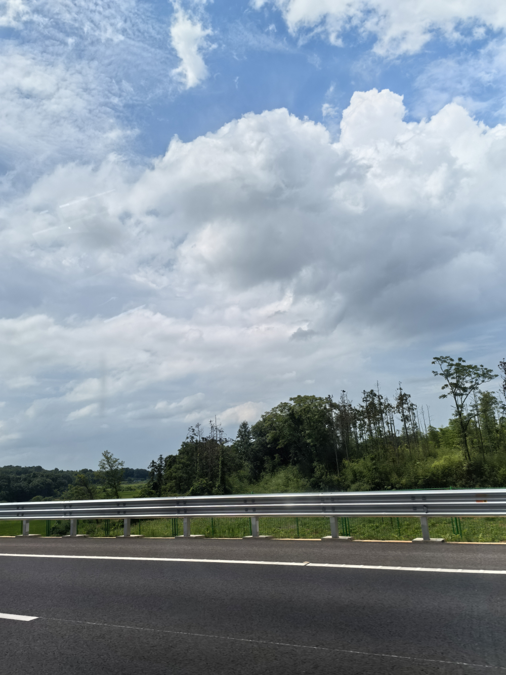 IMG_20250628_145002.jpg