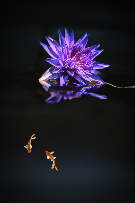5K7A9832.jpg