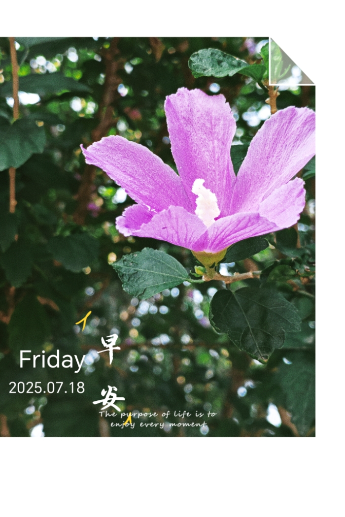 MEITU_20250718_100914548.jpg