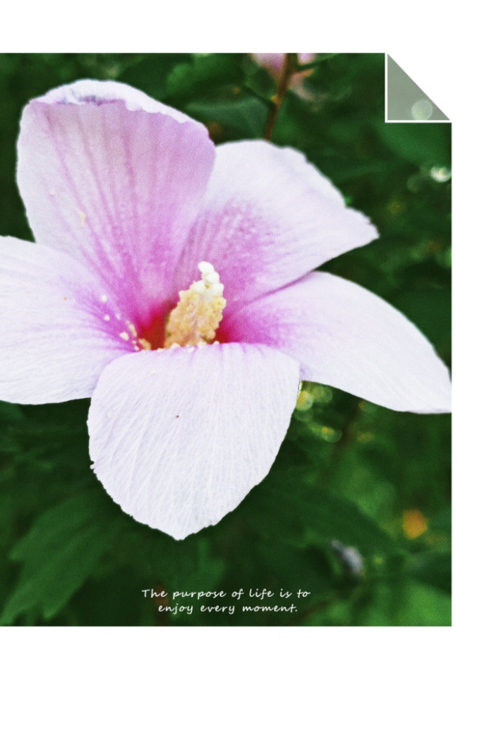 MEITU_20250718_100450456.jpg