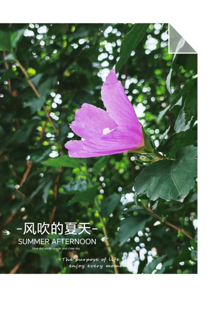 MEITU_20250718_101702583.jpg