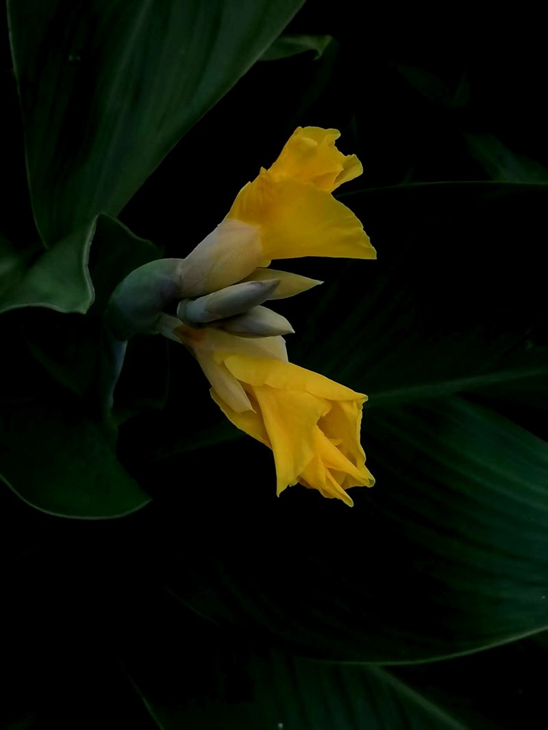 ΢ͼƬ_20250718194255.jpg