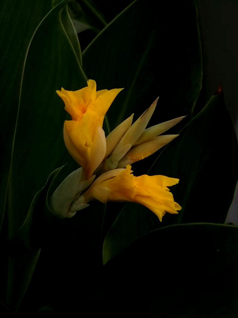 ΢ͼƬ_20250718194259.jpg