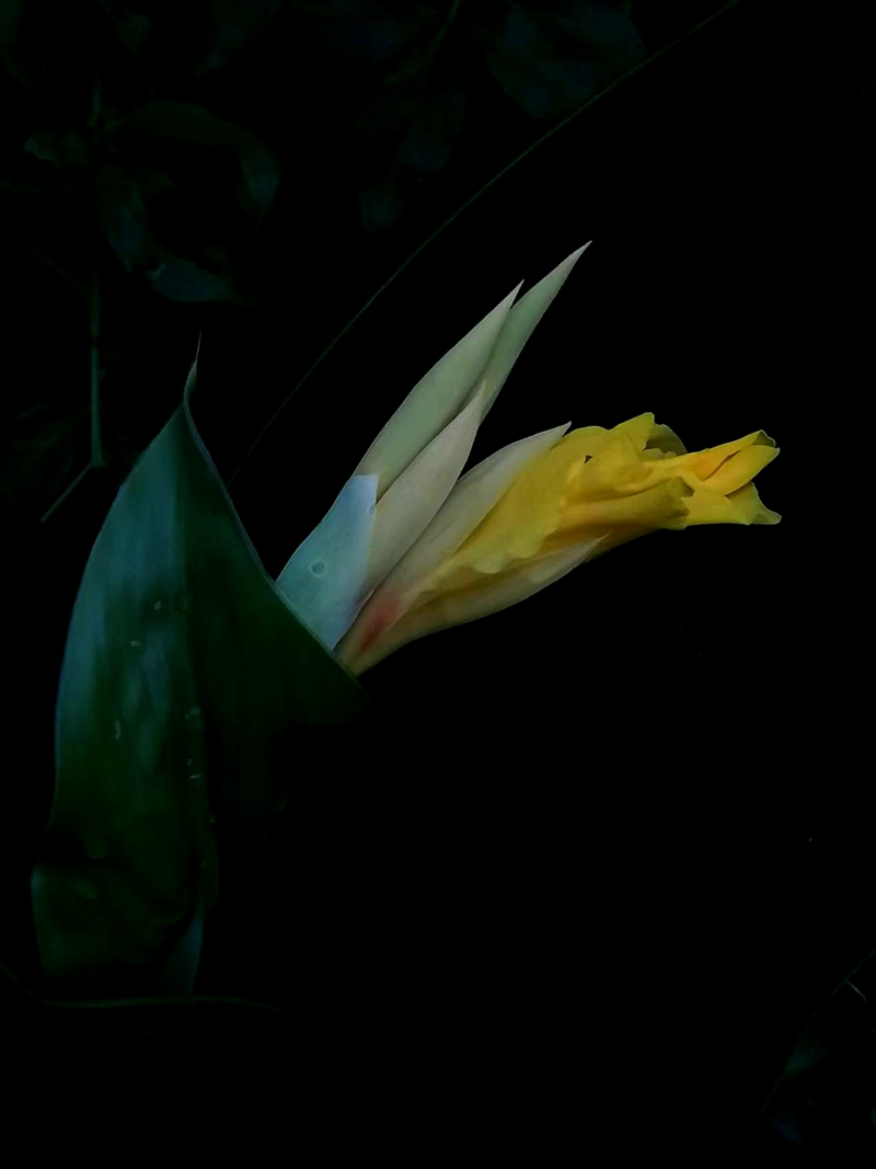 ΢ͼƬ_20250718194303.jpg