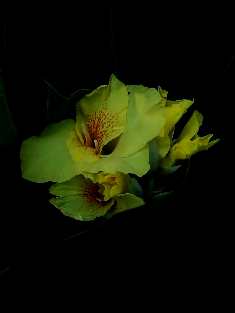 ΢ͼƬ_20250718194308.jpg