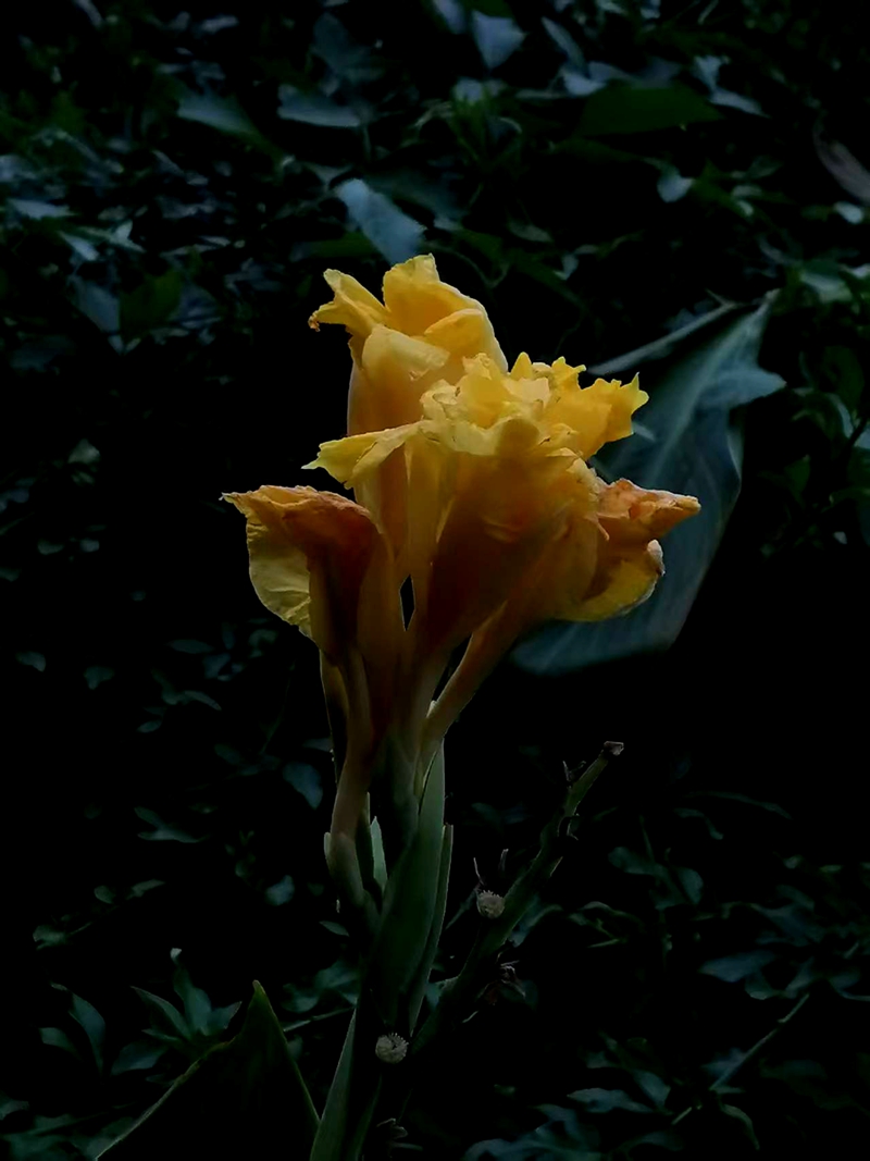΢ͼƬ_20250718194320.jpg