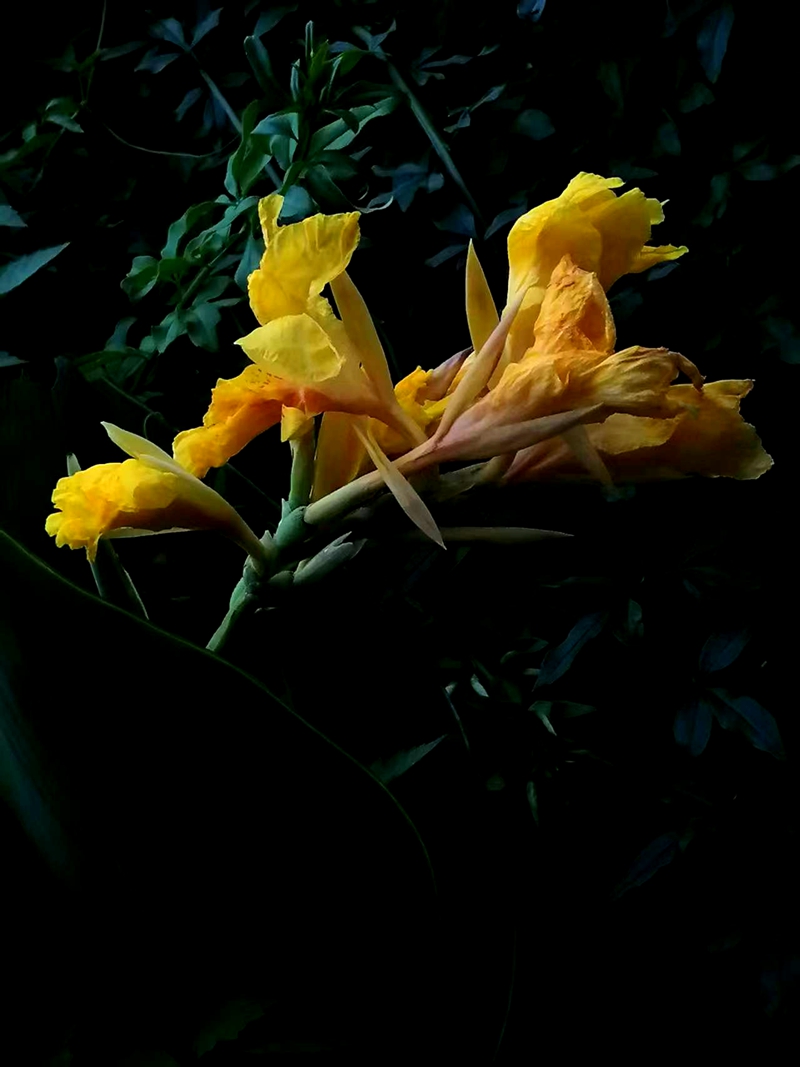 ΢ͼƬ_20250718194324.jpg