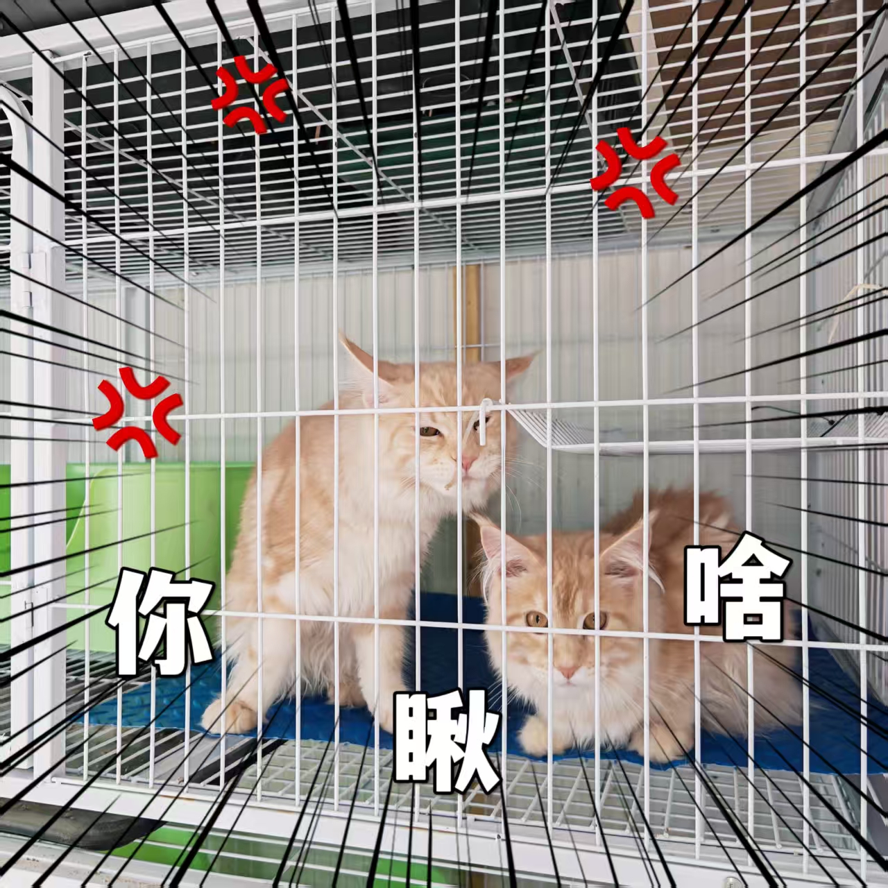 ΢ͼƬ_20250718201046.jpg