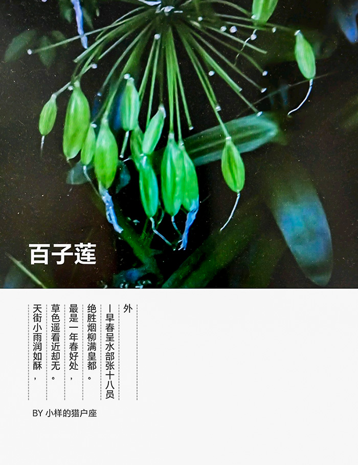 ΢ͼƬ_20250719084706.jpg