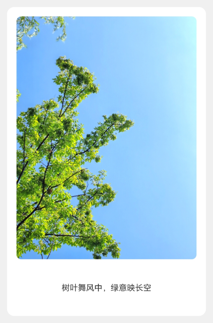 MEITU_20250719_125814119.jpg