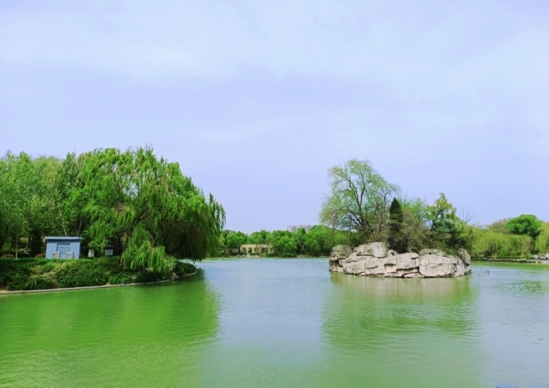MEITU_20250719_143336002.jpg