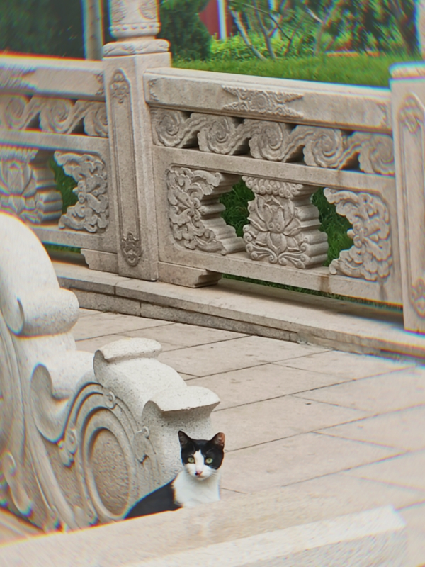 MEITU_20250719_174547186.jpg