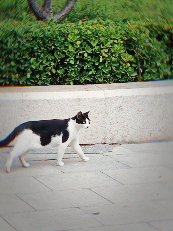 MEITU_20250719_175157854.jpg
