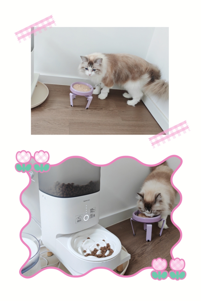 MEITU_20250719_203018759.jpg