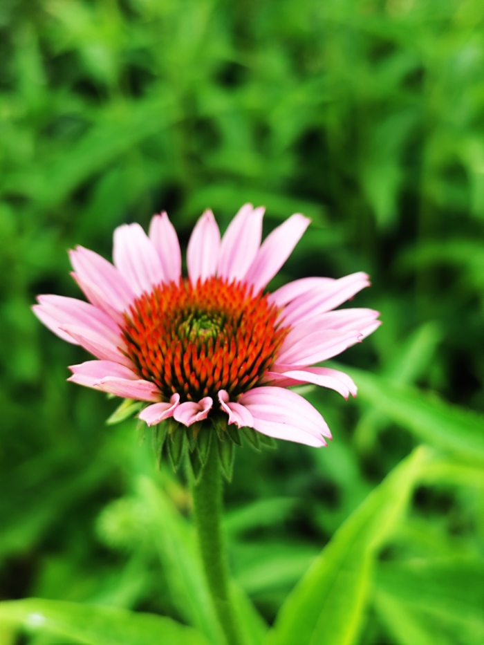 MEITU_20250720_072720766.jpg