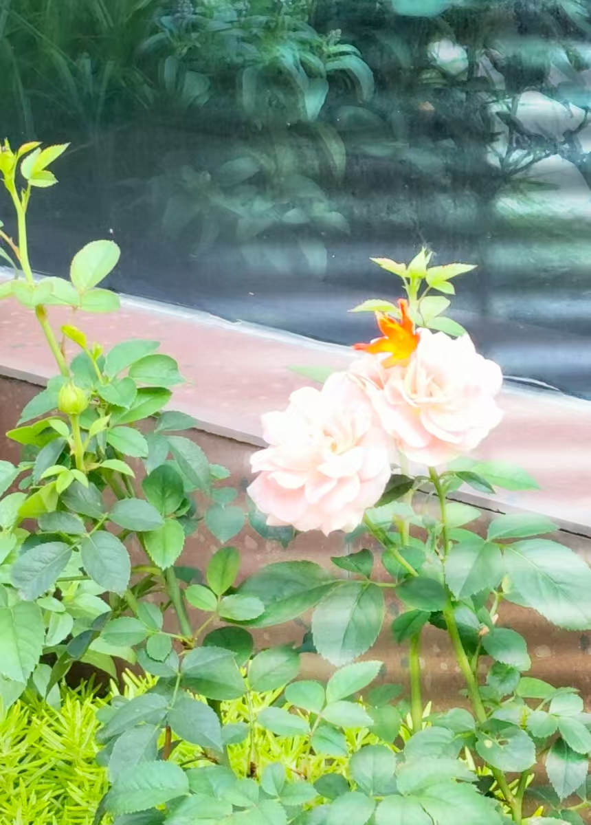 ΢ͼƬ_20250720082329.jpg