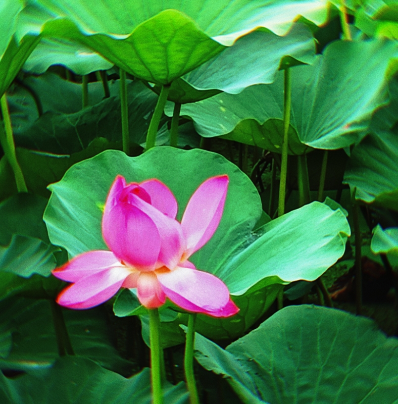 MEITU_20250720_180416964.jpg