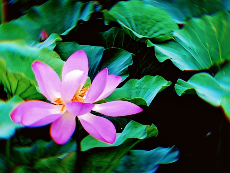 MEITU_20250720_174936188.jpg