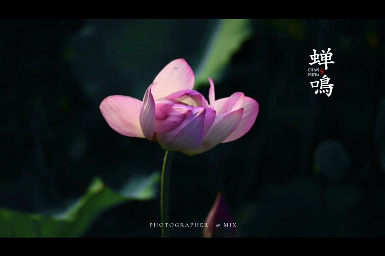 IMG_4505.jpeg