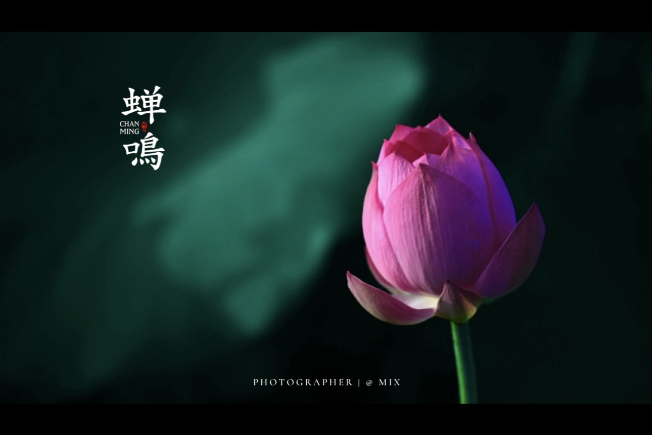 IMG_4503.jpeg
