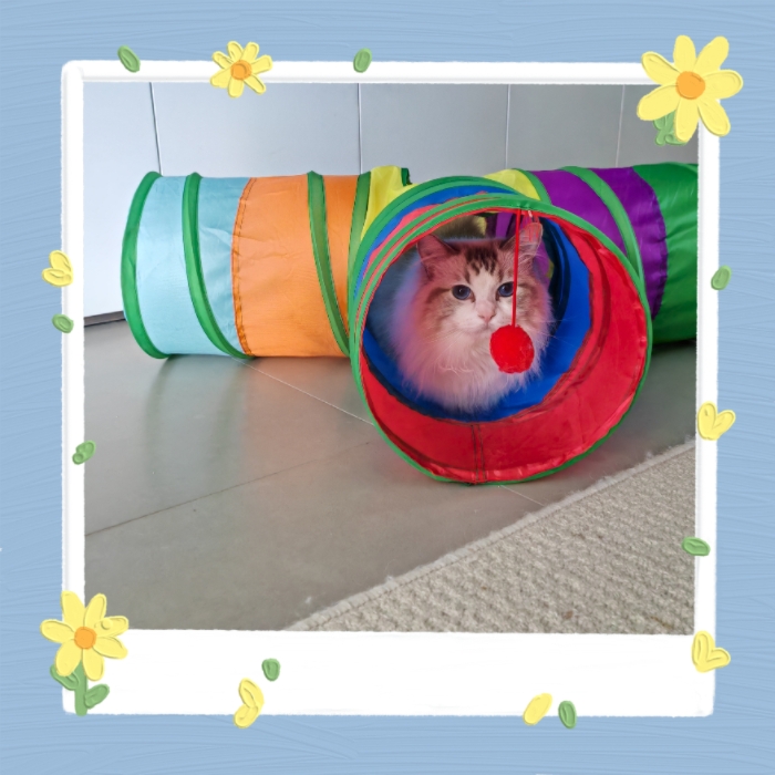 MEITU_20250721_212316290.jpg