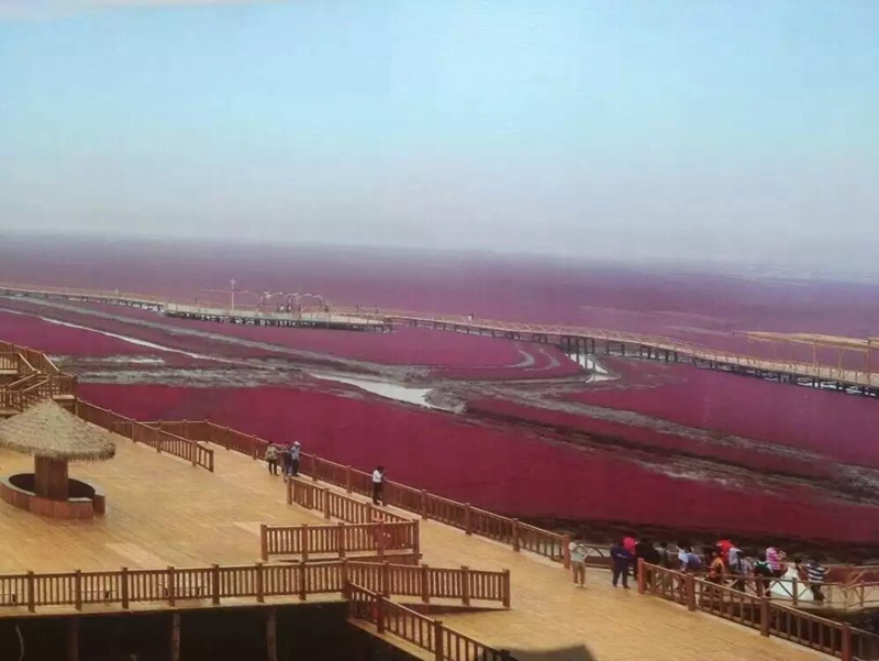 2215.jpg
