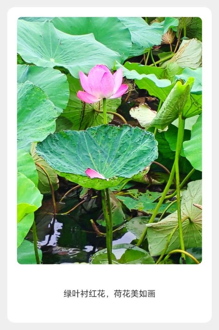 MEITU_20250724_124909136.jpg