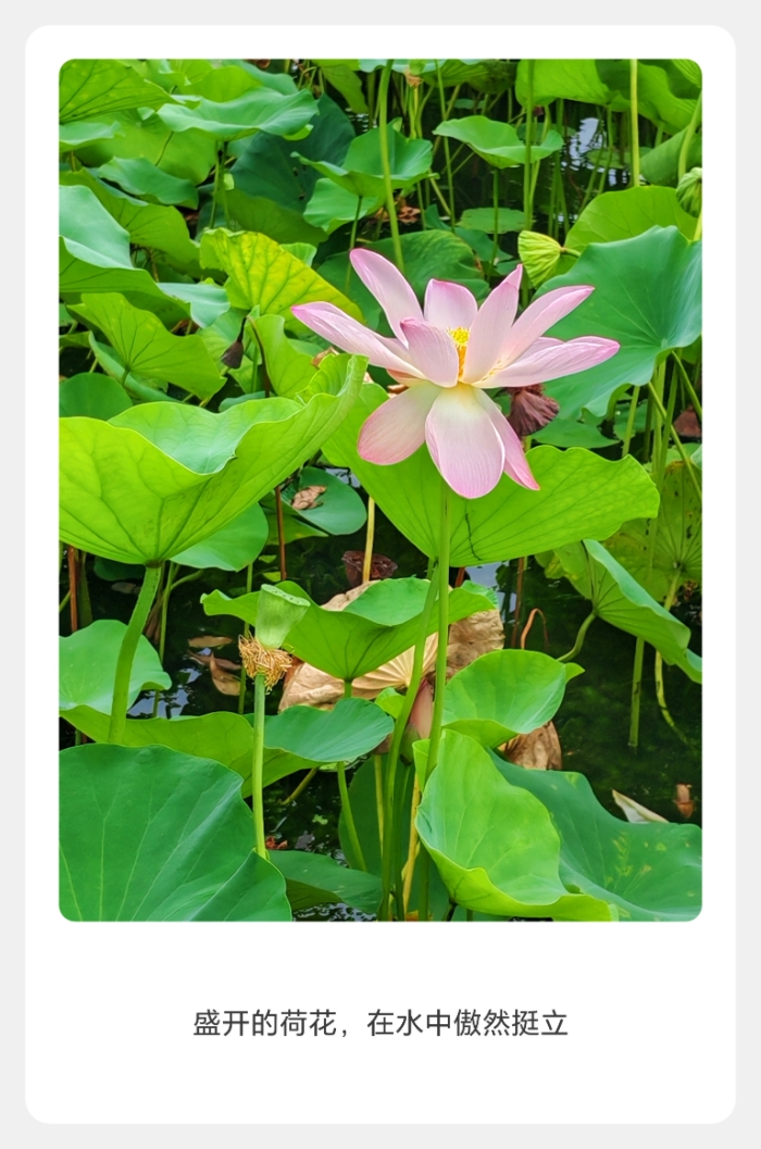 MEITU_20250724_124947594.jpg