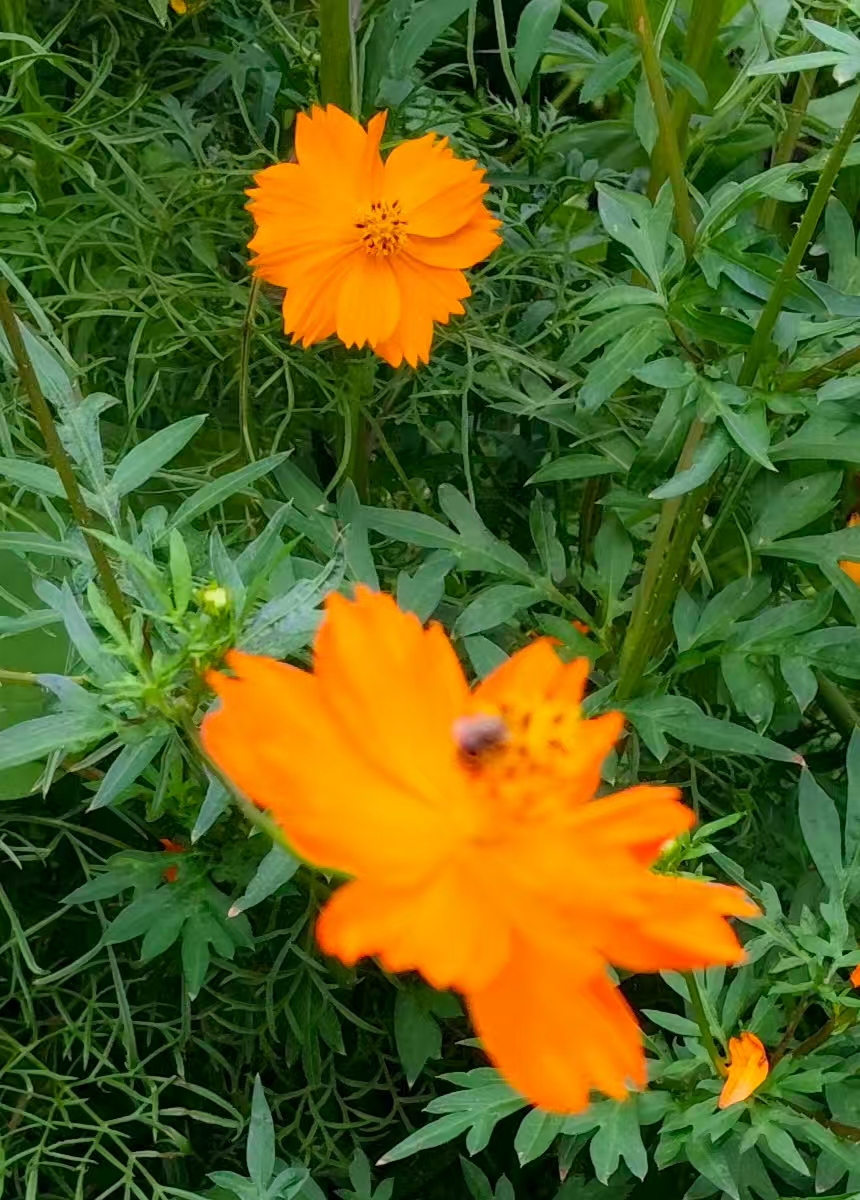 ΢ͼƬ_20250724200211.jpg