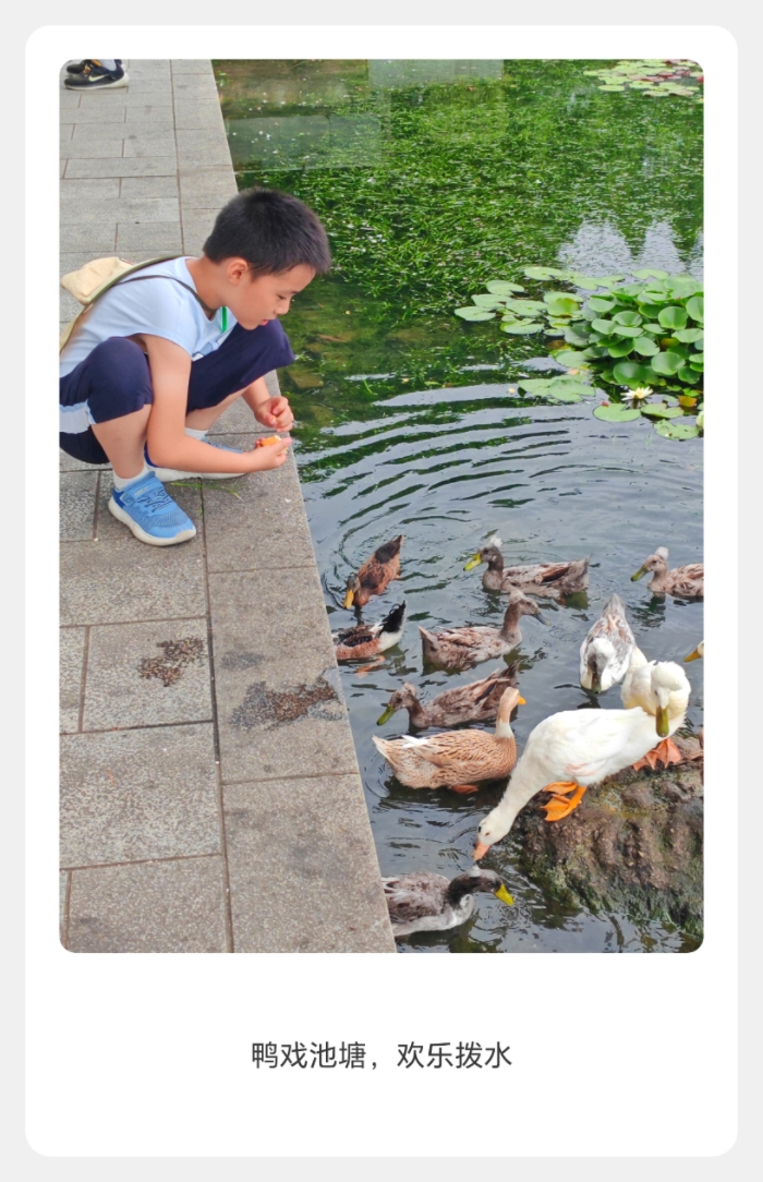 MEITU_20250725_104755627.jpg