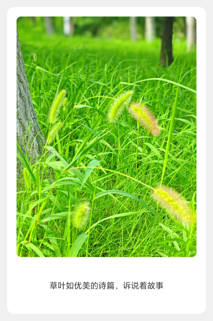 MEITU_20250726_120037564.jpg