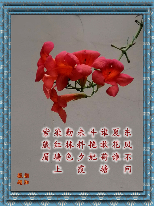 ΢ͼƬ_20250725194321.jpg