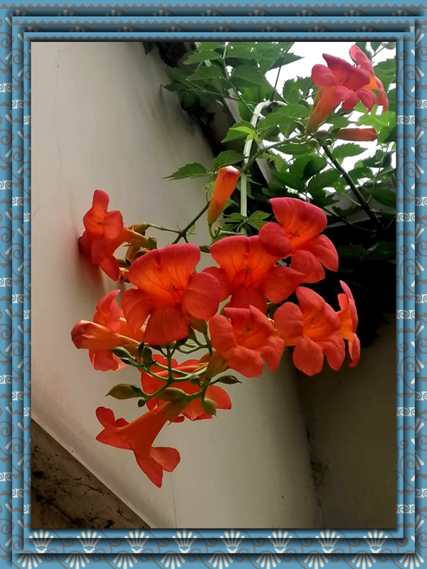 ΢ͼƬ_20250725194316.jpg