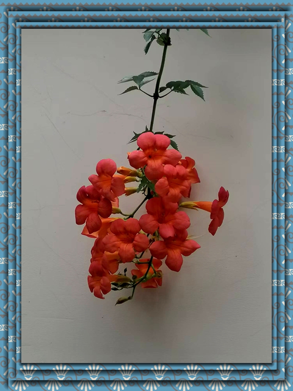 ΢ͼƬ_20250725194325.jpg
