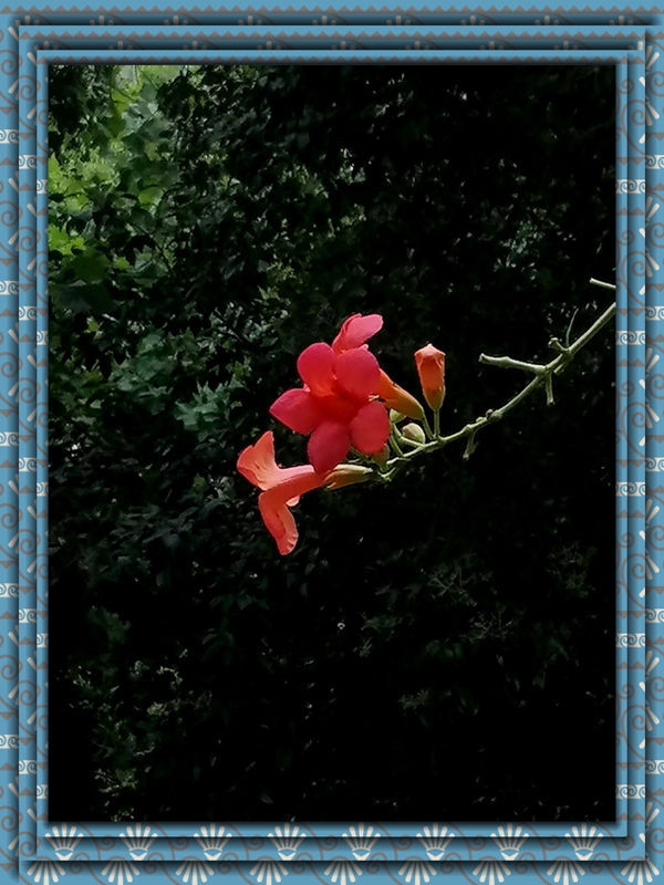 ΢ͼƬ_20250725194330.jpg