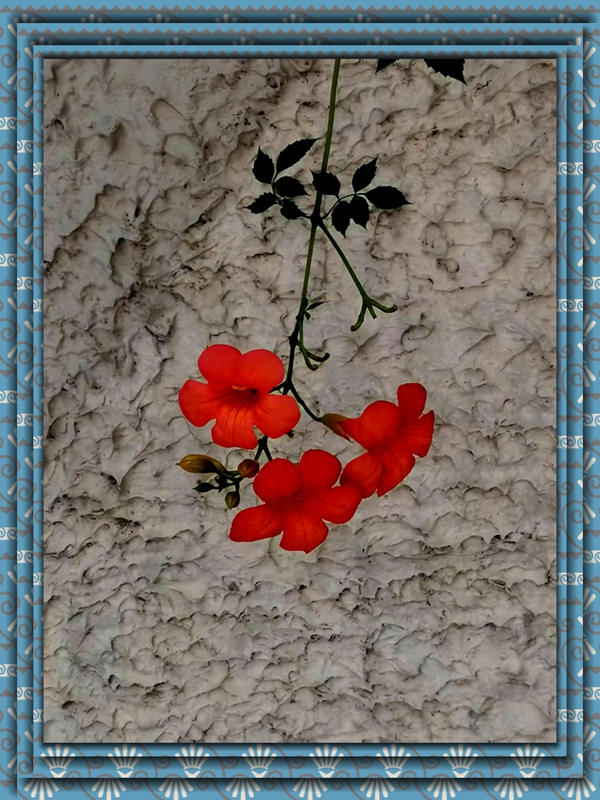 ΢ͼƬ_20250725194335.jpg