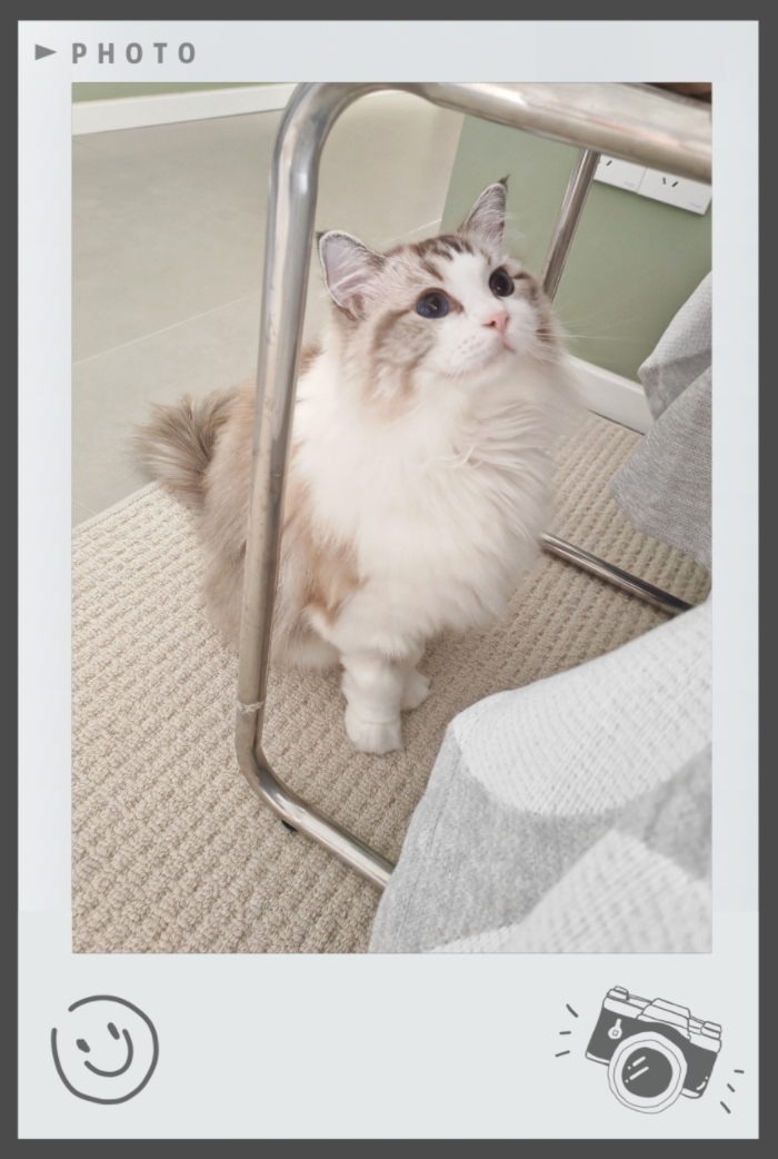 MEITU_20250726_200941018.jpg