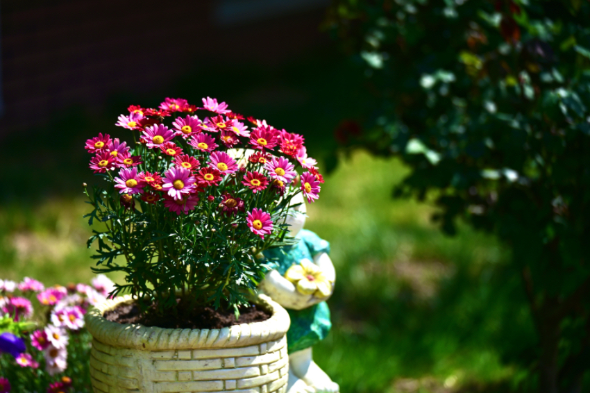 IMG_4865.jpeg