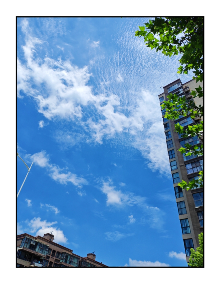 MEITU_20250729_113356039.jpg