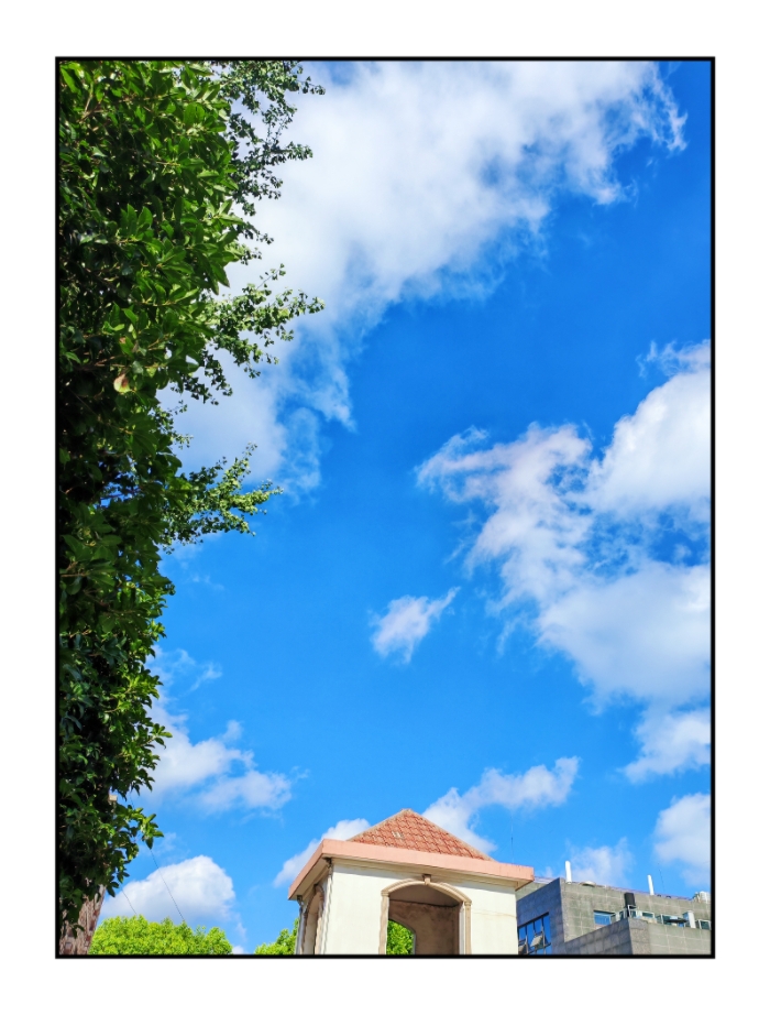 MEITU_20250729_113458279.jpg