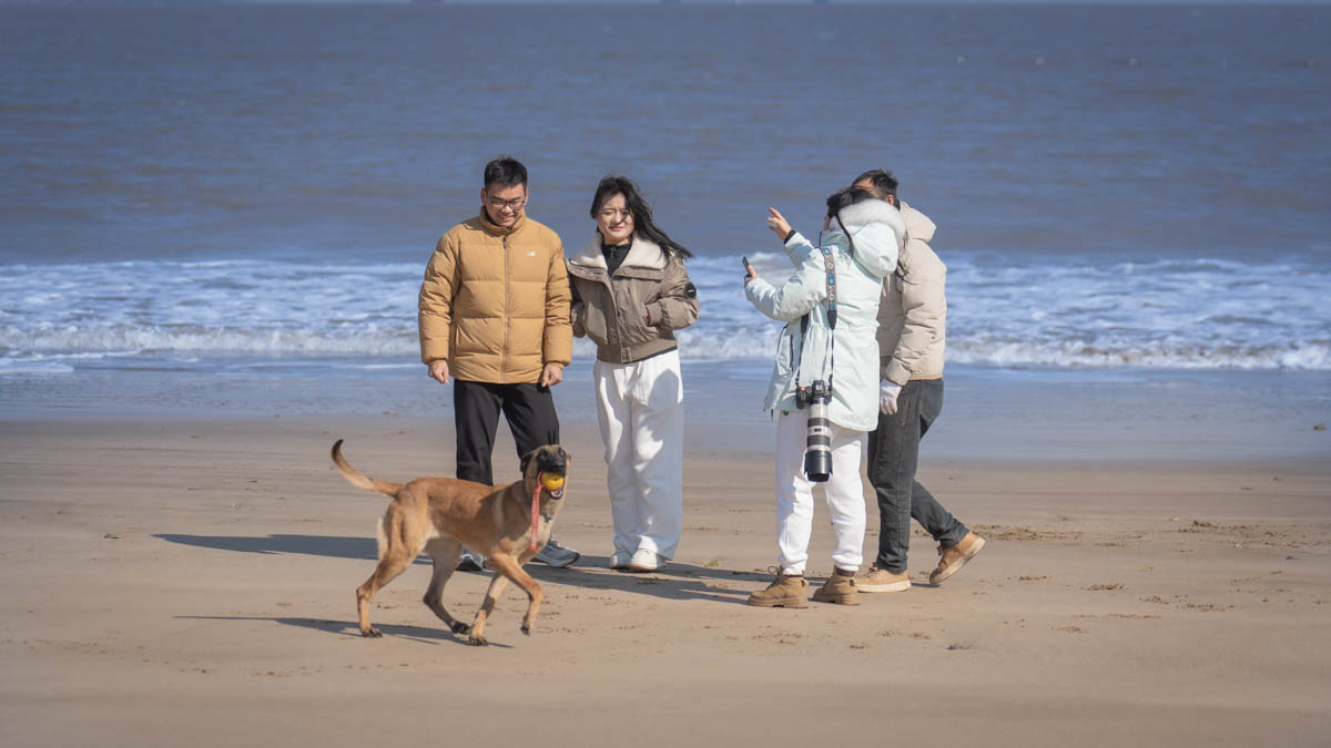 _DSC7931.jpeg