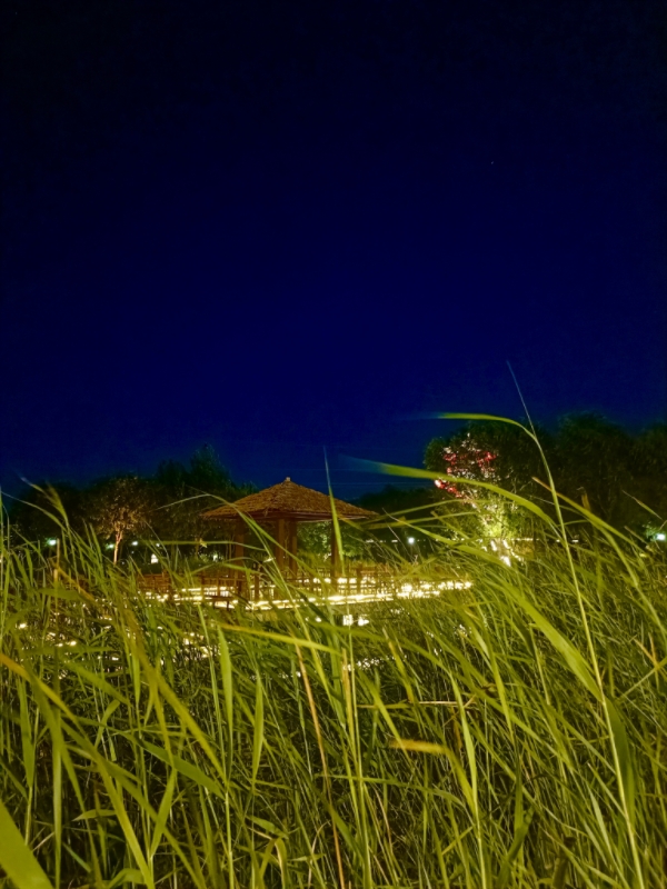 MEITU_20250730_212047837.jpg