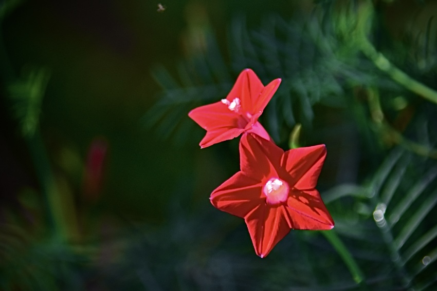 IMG_4920.jpeg