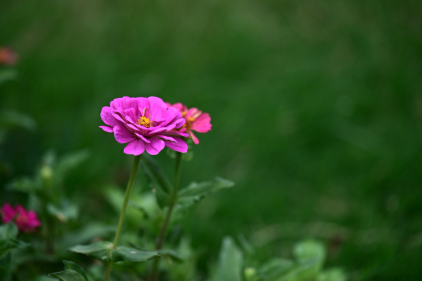 IMG_4923.jpeg