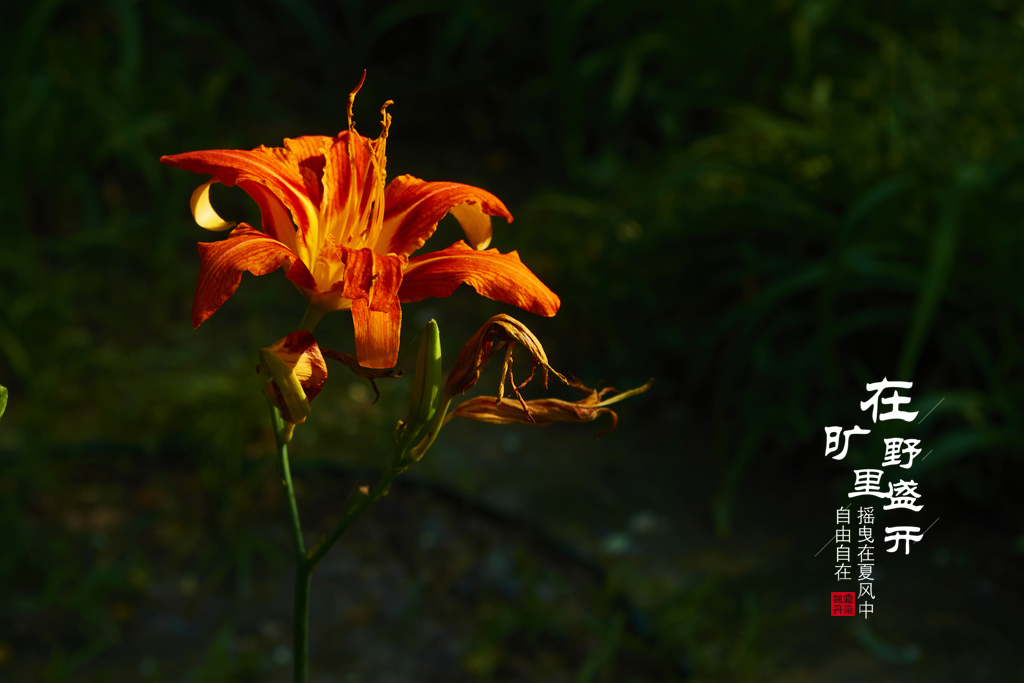 ͨ԰ 19.jpg