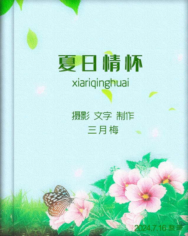 黳.jpg
