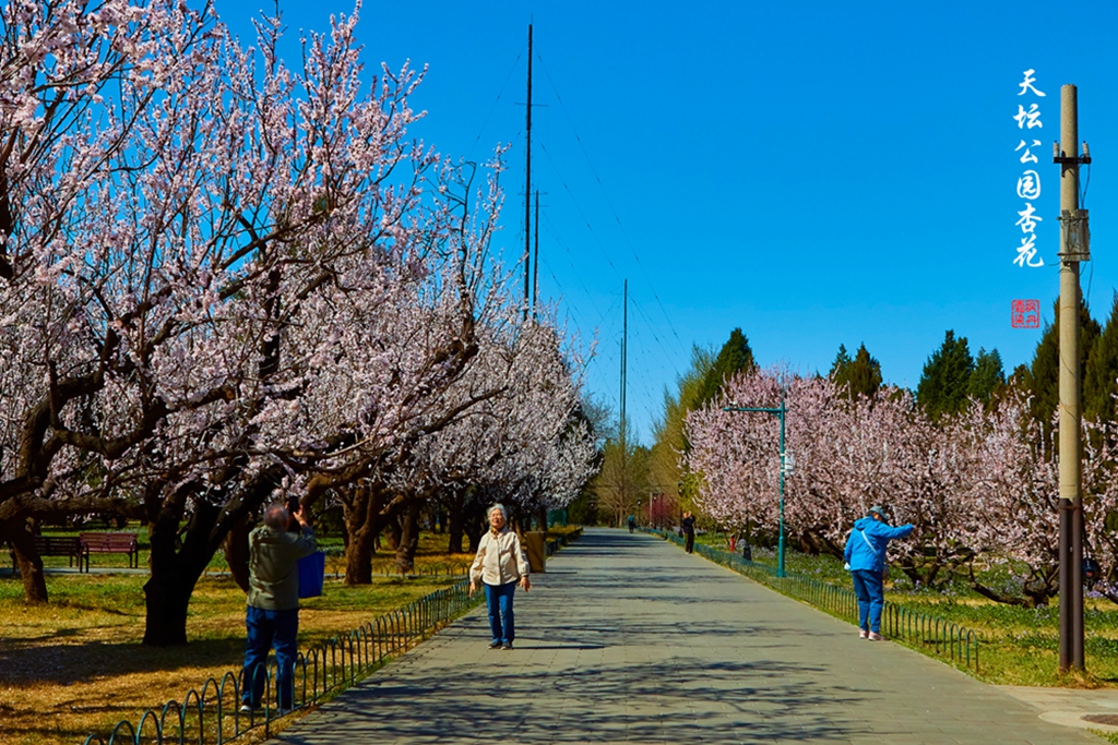 20250325̳ӻ 54.jpg